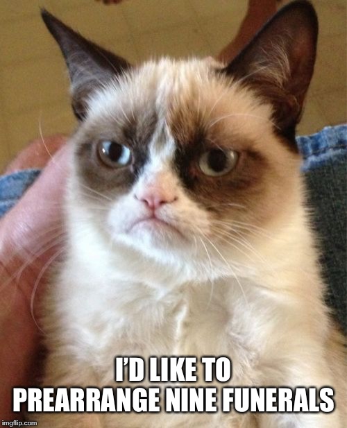 Grumpy Cat Meme | I’D LIKE TO PREARRANGE NINE FUNERALS | image tagged in memes,grumpy cat | made w/ Imgflip meme maker