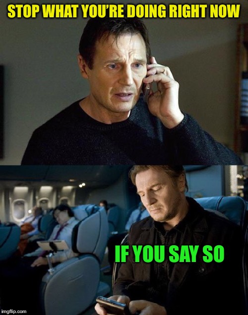 Neeson hang up | STOP WHAT YOU’RE DOING RIGHT NOW IF YOU SAY SO | image tagged in neeson hang up | made w/ Imgflip meme maker