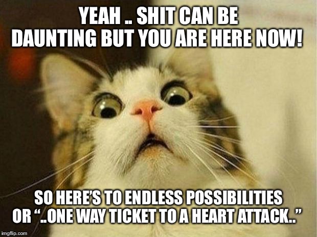 Scared Cat Meme | YEAH .. SHIT CAN BE DAUNTING BUT YOU ARE HERE NOW! SO HERE’S TO ENDLESS POSSIBILITIES OR “..ONE WAY TICKET TO A HEART ATTACK..” | image tagged in memes,scared cat | made w/ Imgflip meme maker