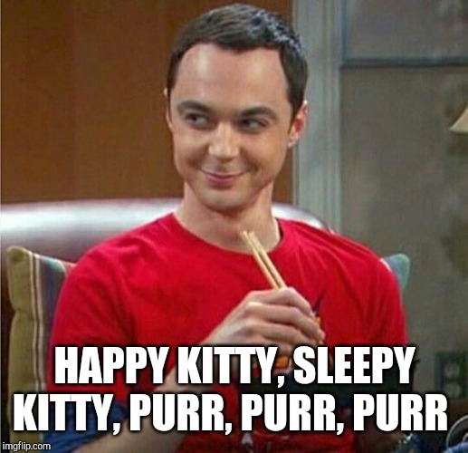 Sheldon Chinese Food | HAPPY KITTY, SLEEPY KITTY, PURR, PURR, PURR | image tagged in sheldon chinese food | made w/ Imgflip meme maker