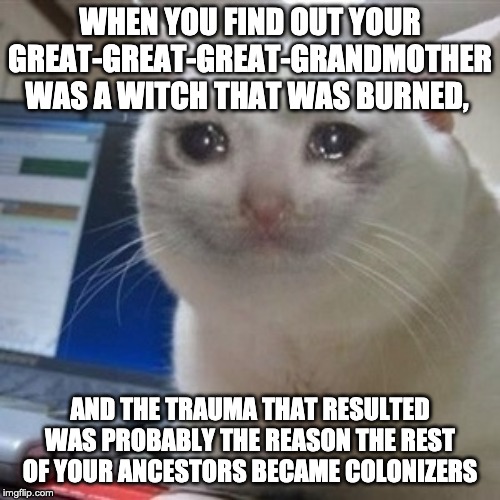 Crying cat | WHEN YOU FIND OUT YOUR GREAT-GREAT-GREAT-GRANDMOTHER WAS A WITCH THAT WAS BURNED, AND THE TRAUMA THAT RESULTED WAS PROBABLY THE REASON THE REST OF YOUR ANCESTORS BECAME COLONIZERS | image tagged in crying cat | made w/ Imgflip meme maker