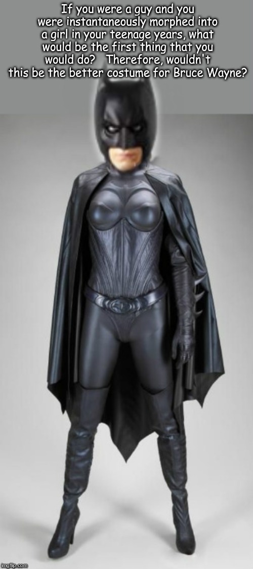 If you were a guy and you were instantaneously morphed into a girl in your teenage years, what would be the first thing that you would do?   Therefore, wouldn't this be the better costume for Bruce Wayne? | image tagged in batman,memes | made w/ Imgflip meme maker