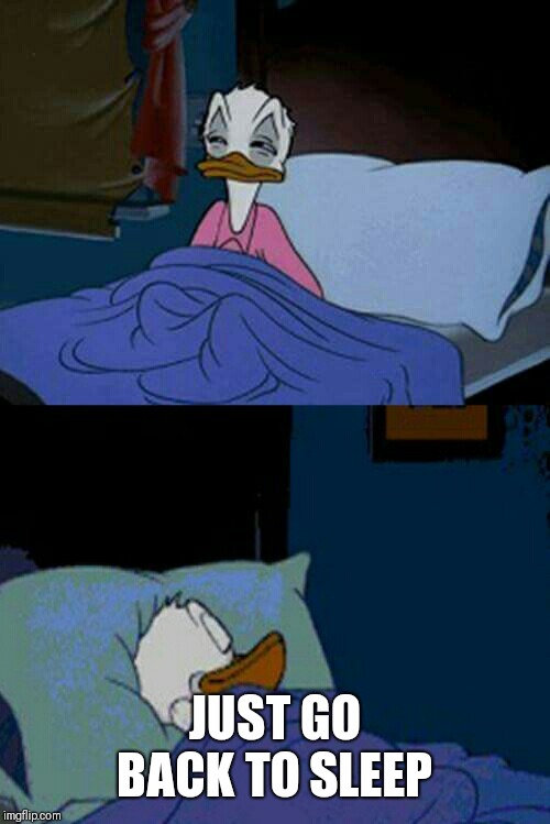 sleepy donald duck in bed | JUST GO BACK TO SLEEP | image tagged in sleepy donald duck in bed | made w/ Imgflip meme maker