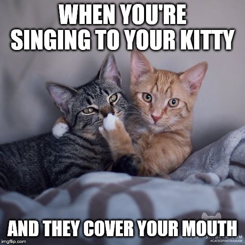 stop, just stop! | WHEN YOU'RE SINGING TO YOUR KITTY; AND THEY COVER YOUR MOUTH | image tagged in shhh cat | made w/ Imgflip meme maker