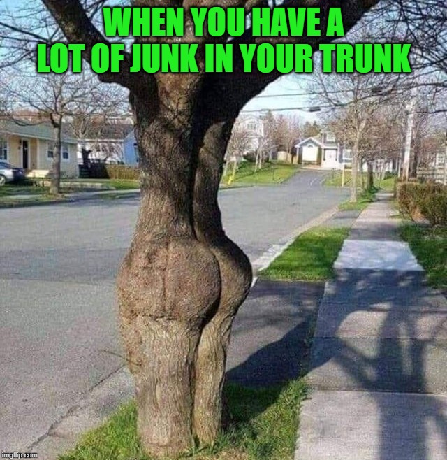 Buns of steel! | WHEN YOU HAVE A LOT OF JUNK IN YOUR TRUNK | image tagged in nixieknox,memes,what you gonna do with all that junk | made w/ Imgflip meme maker
