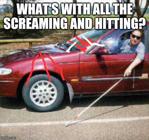 Blind Man Driving | WHAT'S WITH ALL THE SCREAMING AND HITTING? | image tagged in blind man driving | made w/ Imgflip meme maker