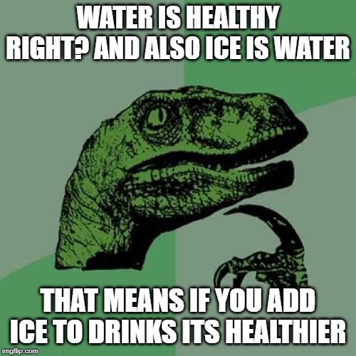 Philosoraptor Meme | WATER IS HEALTHY RIGHT? AND ALSO ICE IS WATER; THAT MEANS IF YOU ADD ICE TO DRINKS ITS HEALTHIER | image tagged in memes,philosoraptor | made w/ Imgflip meme maker