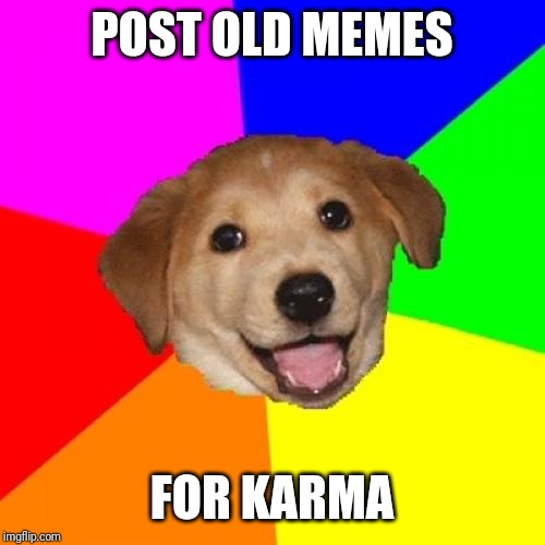 Advice Dog | POST OLD MEMES; FOR KARMA | image tagged in memes,advice dog | made w/ Imgflip meme maker