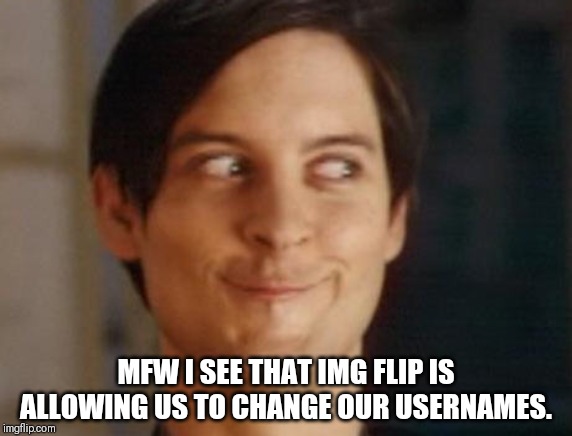 I didn't really change mine, I just improved it. | MFW I SEE THAT IMG FLIP IS ALLOWING US TO CHANGE OUR USERNAMES. | image tagged in memes,spiderman peter parker,usernames | made w/ Imgflip meme maker