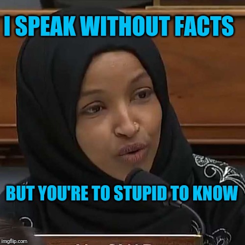 Ilhan Omar | I SPEAK WITHOUT FACTS; BUT YOU'RE TO STUPID TO KNOW | image tagged in ilhan omar | made w/ Imgflip meme maker