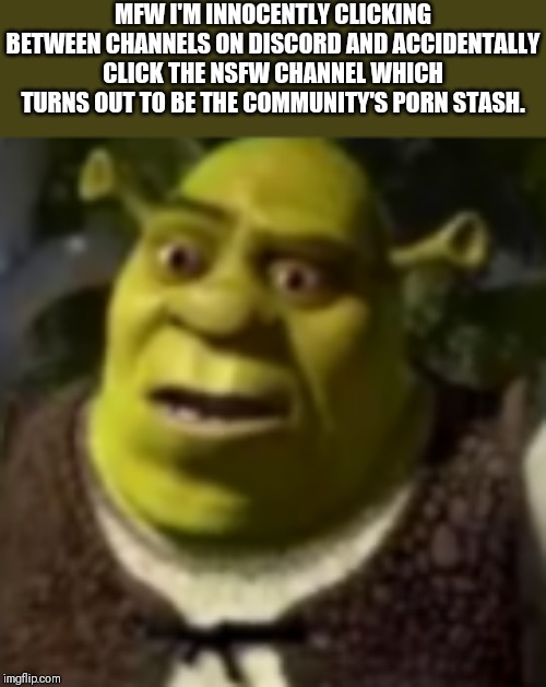 I've seen some shit. | MFW I'M INNOCENTLY CLICKING BETWEEN CHANNELS ON DISCORD AND ACCIDENTALLY CLICK THE NSFW CHANNEL WHICH TURNS OUT TO BE THE COMMUNITY'S PORN STASH. | image tagged in discord,memes,shrek,mfw,nsfw | made w/ Imgflip meme maker