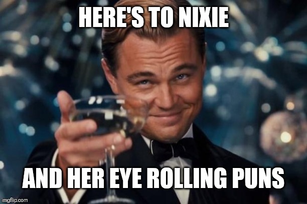 Leonardo Dicaprio Cheers Meme | HERE'S TO NIXIE AND HER EYE ROLLING PUNS | image tagged in memes,leonardo dicaprio cheers | made w/ Imgflip meme maker