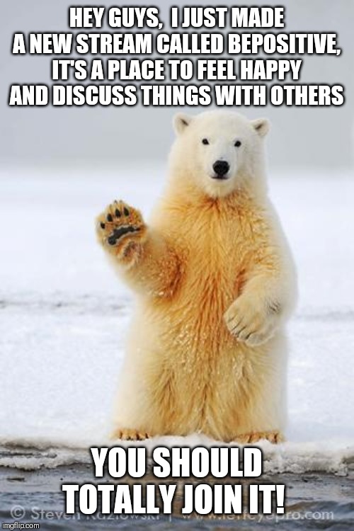 Listen to the bear,  join the stream! | HEY GUYS,  I JUST MADE A NEW STREAM CALLED BEPOSITIVE, IT'S A PLACE TO FEEL HAPPY AND DISCUSS THINGS WITH OTHERS; YOU SHOULD TOTALLY JOIN IT! | image tagged in hello polar bear | made w/ Imgflip meme maker