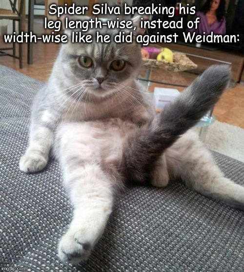 Sexy Cat Meme | Spider Silva breaking his leg length-wise, instead of width-wise like he did against Weidman: | image tagged in memes,sexy cat | made w/ Imgflip meme maker