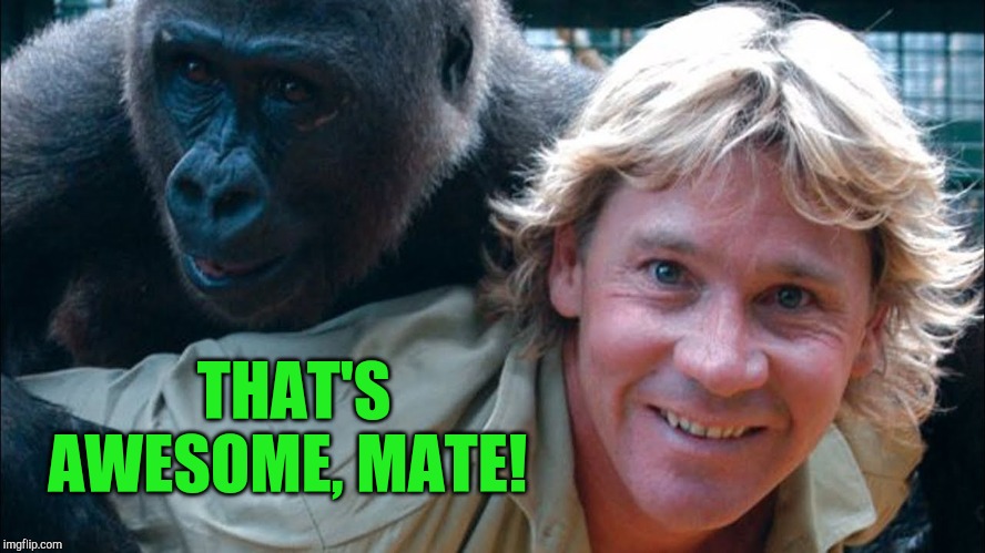 Steve Irwin | THAT'S AWESOME, MATE! | image tagged in steve irwin | made w/ Imgflip meme maker