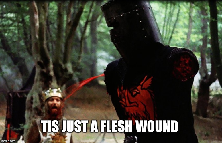 Monty Python Black Knight | TIS JUST A FLESH WOUND | image tagged in monty python black knight | made w/ Imgflip meme maker