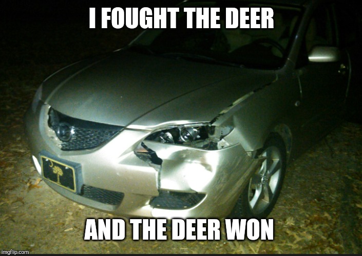 I FOUGHT THE DEER AND THE DEER WON | made w/ Imgflip meme maker