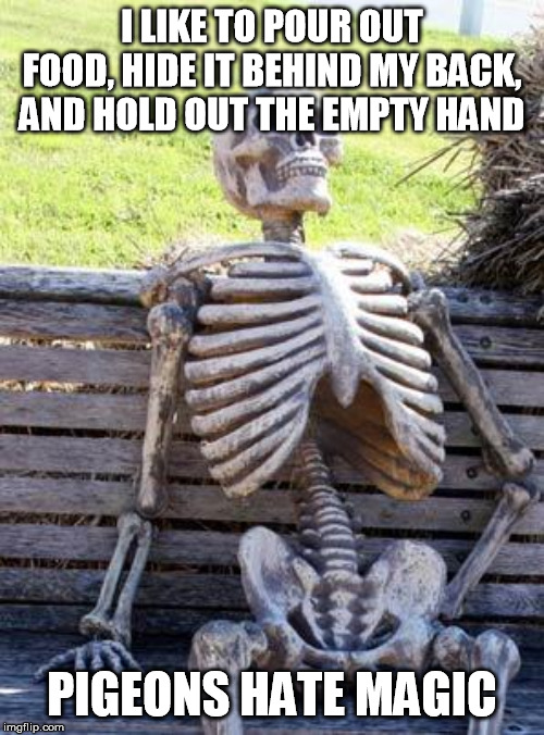 Waiting Skeleton Meme | I LIKE TO POUR OUT FOOD, HIDE IT BEHIND MY BACK, AND HOLD OUT THE EMPTY HAND; PIGEONS HATE MAGIC | image tagged in memes,waiting skeleton | made w/ Imgflip meme maker