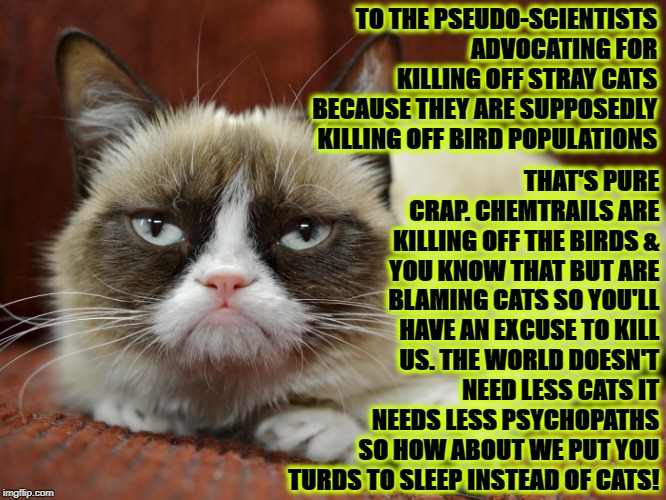 CAT KILLERS | THAT'S PURE CRAP. CHEMTRAILS ARE KILLING OFF THE BIRDS & YOU KNOW THAT BUT ARE BLAMING CATS SO YOU'LL HAVE AN EXCUSE TO KILL US. THE WORLD DOESN'T NEED LESS CATS IT NEEDS LESS PSYCHOPATHS SO HOW ABOUT WE PUT YOU TURDS TO SLEEP INSTEAD OF CATS! TO THE PSEUDO-SCIENTISTS ADVOCATING FOR KILLING OFF STRAY CATS BECAUSE THEY ARE SUPPOSEDLY KILLING OFF BIRD POPULATIONS | image tagged in cat killers | made w/ Imgflip meme maker