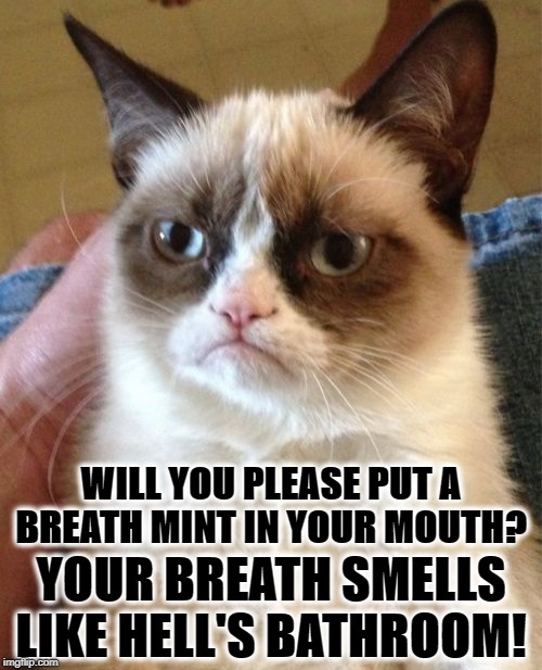 Grumpy Cat Meme | WILL YOU PLEASE PUT A BREATH MINT IN YOUR MOUTH? YOUR BREATH SMELLS LIKE HELL'S BATHROOM! | image tagged in memes,grumpy cat | made w/ Imgflip meme maker