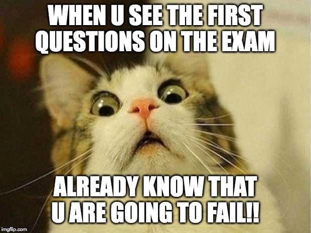 Scared Cat Meme | WHEN U SEE THE FIRST QUESTIONS ON THE EXAM; ALREADY KNOW THAT U ARE GOING TO FAIL!! | image tagged in memes,scared cat | made w/ Imgflip meme maker