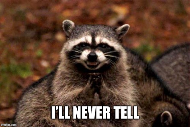 Evil Plotting Raccoon Meme | I’LL NEVER TELL | image tagged in memes,evil plotting raccoon | made w/ Imgflip meme maker