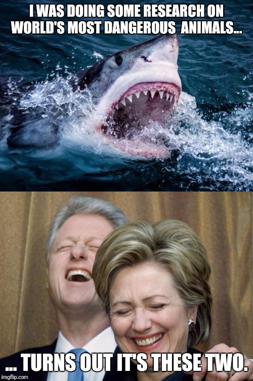 Coming to the logical conclusion once again... | I WAS DOING SOME RESEARCH ON WORLD'S MOST DANGEROUS  ANIMALS... ... TURNS OUT IT'S THESE TWO. | image tagged in clinton corruption,murder most foul,nothing to see here | made w/ Imgflip meme maker
