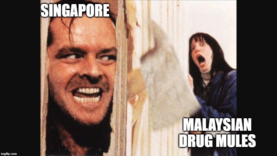 Here's johnny | SINGAPORE; MALAYSIAN DRUG MULES | image tagged in here's johnny | made w/ Imgflip meme maker