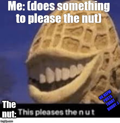 This pleases the nut | Me: (does something to please the nut); NO NSFW POSTS TODAY BUDDY :); The nut: | image tagged in this pleases the nut | made w/ Imgflip meme maker