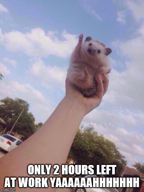 Positive Hedgehog |  ONLY 2 HOURS LEFT AT WORK YAAAAAAHHHHHHH | image tagged in positive hedgehog | made w/ Imgflip meme maker