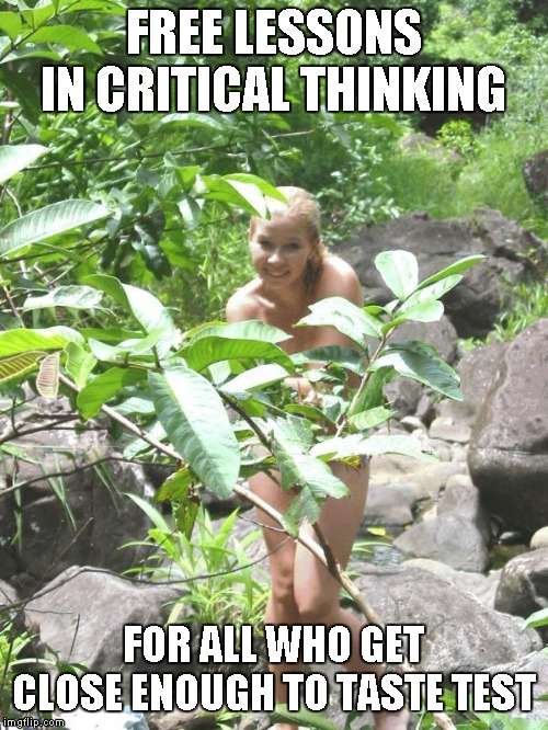 Garden of Eden | FREE LESSONS IN CRITICAL THINKING FOR ALL WHO GET CLOSE ENOUGH TO TASTE TEST | image tagged in garden of eden | made w/ Imgflip meme maker