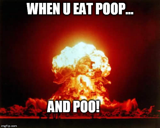 Nuclear Explosion Meme | WHEN U EAT POOP... AND POO! | image tagged in memes,nuclear explosion | made w/ Imgflip meme maker