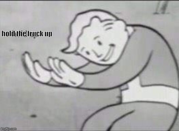 Fallout Hold Up | hold the fruck up | image tagged in fallout hold up | made w/ Imgflip meme maker