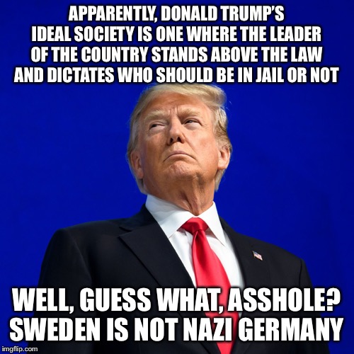The new Führer | APPARENTLY, DONALD TRUMP’S IDEAL SOCIETY IS ONE WHERE THE LEADER OF THE COUNTRY STANDS ABOVE THE LAW AND DICTATES WHO SHOULD BE IN JAIL OR NOT; WELL, GUESS WHAT, ASSHOLE? SWEDEN IS NOT NAZI GERMANY | image tagged in donald trump | made w/ Imgflip meme maker