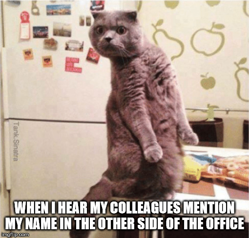 What did you say? | WHEN I HEAR MY COLLEAGUES MENTION MY NAME IN THE OTHER SIDE OF THE OFFICE | image tagged in what did you say | made w/ Imgflip meme maker