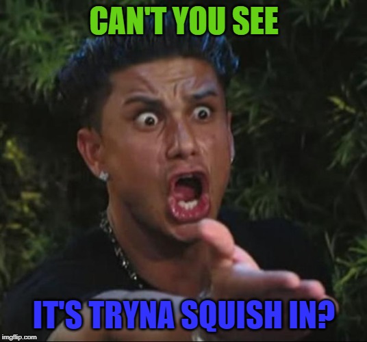DJ Pauly D Meme | CAN'T YOU SEE IT'S TRYNA SQUISH IN? | image tagged in memes,dj pauly d | made w/ Imgflip meme maker