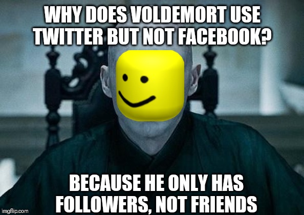 Lord Voldemort | WHY DOES VOLDEMORT USE TWITTER BUT NOT FACEBOOK? BECAUSE HE ONLY HAS FOLLOWERS, NOT FRIENDS | image tagged in lord voldemort | made w/ Imgflip meme maker