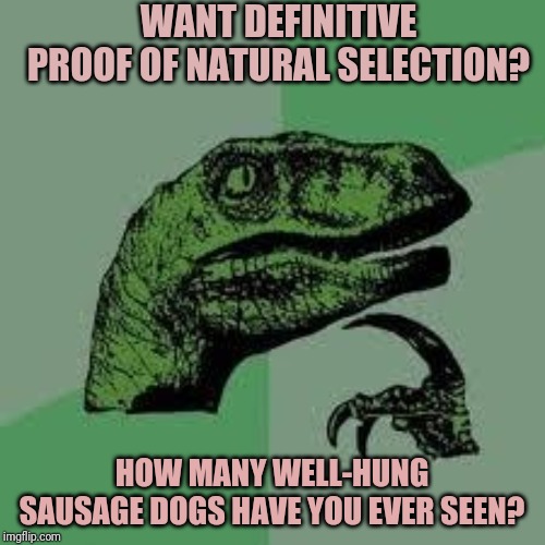 Dinosaur | WANT DEFINITIVE PROOF OF NATURAL SELECTION? HOW MANY WELL-HUNG SAUSAGE DOGS HAVE YOU EVER SEEN? | image tagged in dinosaur | made w/ Imgflip meme maker