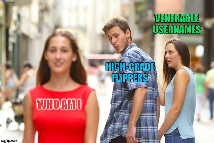Messy&annoying. The least those username reassignment surgeries should be revealed by a different text color in the comments. | VENERABLE USERNAMES; HIGH-GRADE FLIPPERS; WHO AM I | image tagged in memes,distracted boyfriend | made w/ Imgflip meme maker