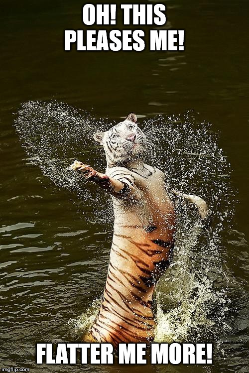 Fabulous Tiger | OH! THIS PLEASES ME! FLATTER ME MORE! | image tagged in fabulous tiger | made w/ Imgflip meme maker
