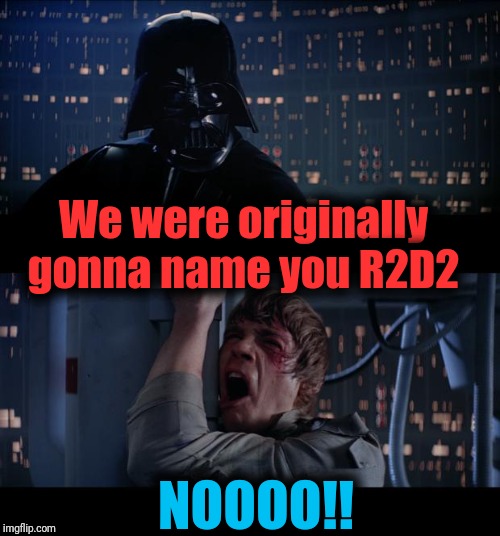 Star Wars No Meme | We were originally gonna name you R2D2 NOOOO!! | image tagged in memes,star wars no | made w/ Imgflip meme maker