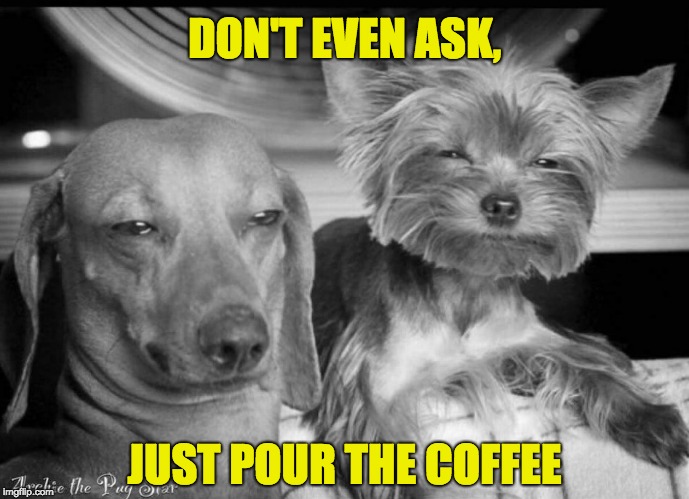 Sleepy dogs |  DON'T EVEN ASK, JUST POUR THE COFFEE | image tagged in sleepy dogs | made w/ Imgflip meme maker