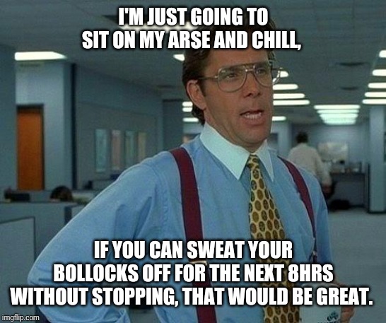That Would Be Great Meme | I'M JUST GOING TO SIT ON MY ARSE AND CHILL, IF YOU CAN SWEAT YOUR BOLLOCKS OFF FOR THE NEXT 8HRS WITHOUT STOPPING, THAT WOULD BE GREAT. | image tagged in memes,that would be great | made w/ Imgflip meme maker
