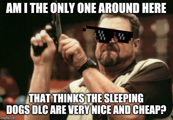 Am I The Only One Around Here Meme | AM I THE ONLY ONE AROUND HERE; THAT THINKS THE SLEEPING DOGS DLC ARE VERY NICE AND CHEAP? | image tagged in memes,am i the only one around here | made w/ Imgflip meme maker