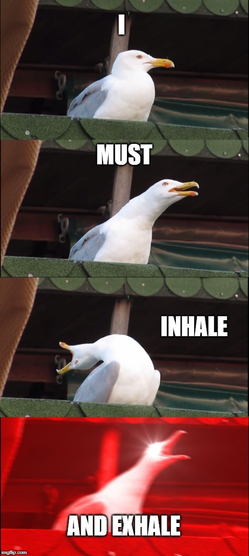 Inhaling Seagull Meme | I; MUST; INHALE; AND EXHALE | image tagged in memes,inhaling seagull | made w/ Imgflip meme maker