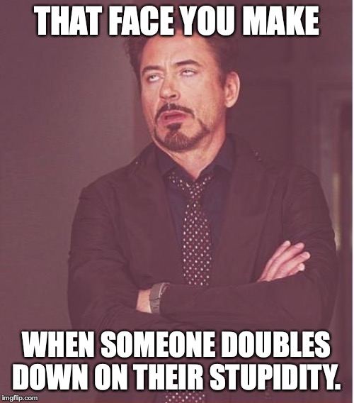 Face You Make Robert Downey Jr Meme | THAT FACE YOU MAKE WHEN SOMEONE DOUBLES DOWN ON THEIR STUPIDITY. | image tagged in memes,face you make robert downey jr | made w/ Imgflip meme maker