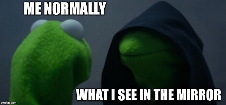 Evil Kermit | ME NORMALLY; WHAT I SEE IN THE MIRROR | image tagged in memes,evil kermit | made w/ Imgflip meme maker