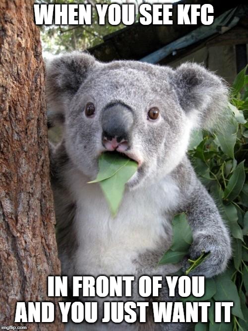 Surprised Koala | WHEN YOU SEE KFC; IN FRONT OF YOU AND YOU JUST WANT IT | image tagged in memes,surprised koala | made w/ Imgflip meme maker