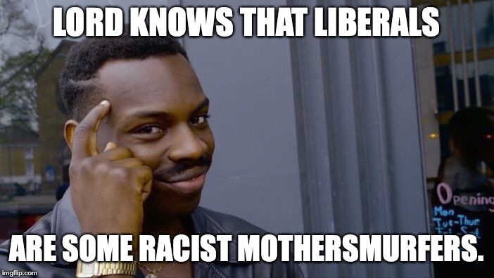 Roll Safe Think About It Meme | LORD KNOWS THAT LIBERALS ARE SOME RACIST MOTHERSMURFERS. | image tagged in memes,roll safe think about it | made w/ Imgflip meme maker