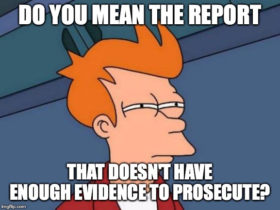 Futurama Fry Meme | DO YOU MEAN THE REPORT THAT DOESN'T HAVE ENOUGH EVIDENCE TO PROSECUTE? | image tagged in memes,futurama fry | made w/ Imgflip meme maker